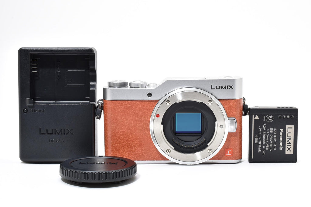 ★極上品★ パナソニック Panasonic LUMIX GF9 ボディ DC-GF9 ショット数794回 デジタル ★ #8717
