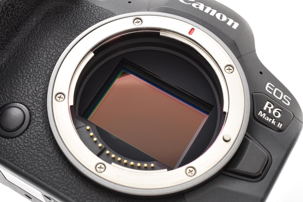 ★良品★ キヤノン CANON EOS R6 MARK II ボディ ミラーレス一眼 ★ #9432