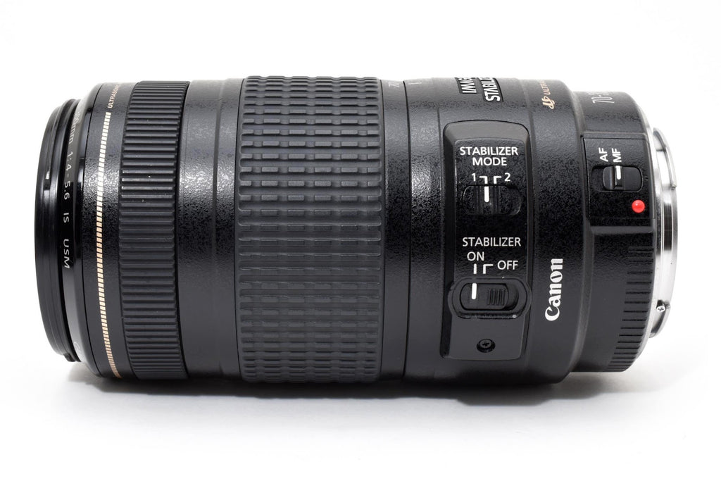 ★美品★ キャノン CANON EF 70-300MM F4-5.6 IS USM 純正ケース付き 望遠レンズ ★ #8710