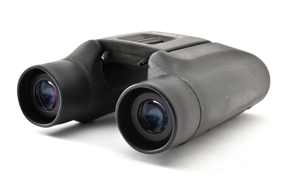 ★良品★ キャノン CANON 双眼鏡 8X22A 5500. ★ #9325