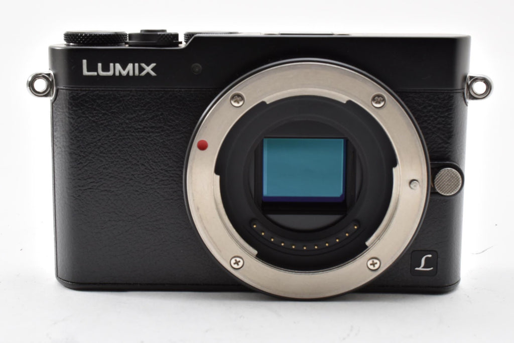 ★美品ショット数4372回★ パナソニック Panasonic DMC-GM5 ブラック ミラーレス一眼 ボディ  ★ #8881