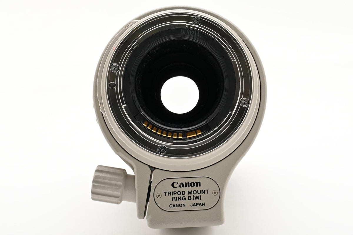 ★美品★ キヤノン CANON EF100-400mm F4.5-5.6L IS USM 望遠ズームレンズ ★ #9392
