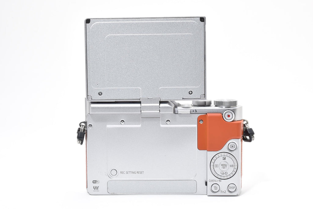 ★極上品★ パナソニック Panasonic LUMIX GF9 ボディ DC-GF9 ショット数794回 デジタル ★ #8717