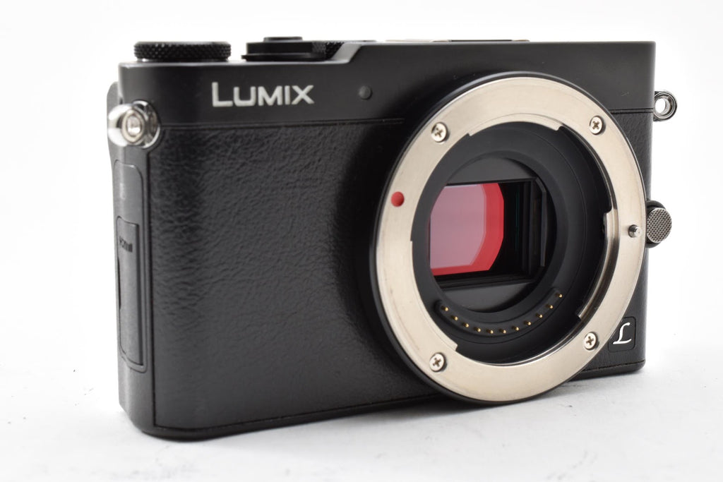 ★美品ショット数4372回★ パナソニック Panasonic DMC-GM5 ブラック ミラーレス一眼 ボディ  ★ #8881