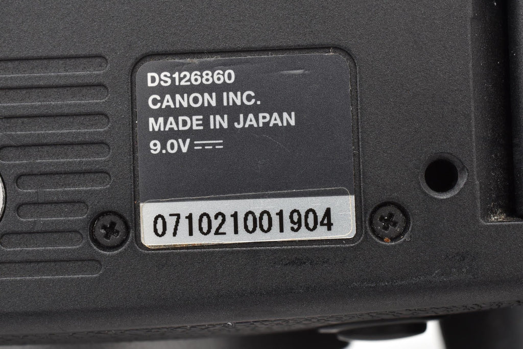 ★良品★ キヤノン CANON EOS R6 MARK II ボディ ミラーレス一眼 ★ #9432