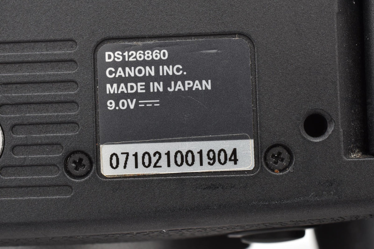 ★良品★ キヤノン CANON EOS R6 MARK II ボディ ミラーレス一眼 ★ #9432