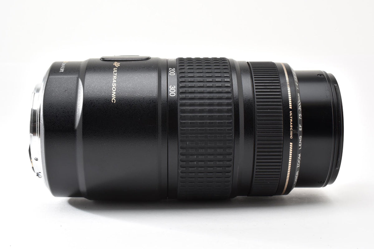★美品★ キヤノン CANON EF 75-300MM F4-5.6 IS USM ズームレンズ ★ #9337