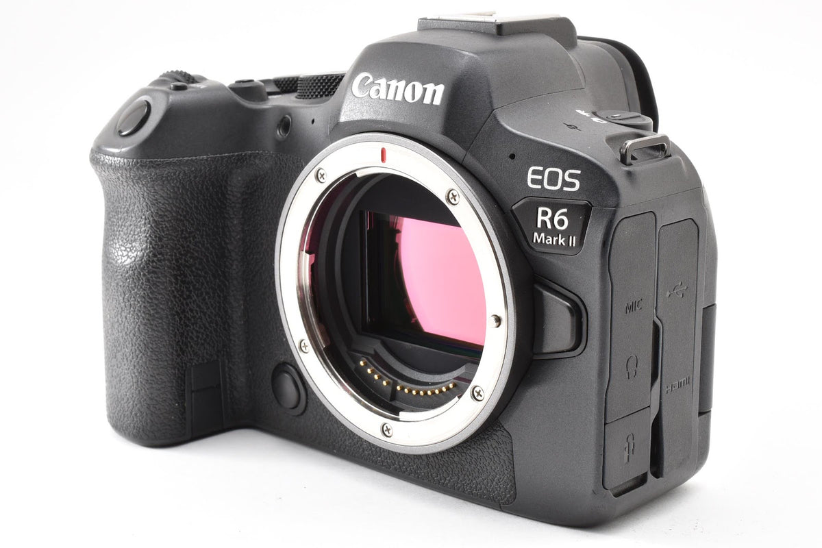 ★良品★ キヤノン CANON EOS R6 MARK II ボディ ミラーレス一眼 ★ #9432