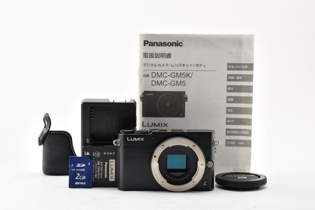 ★美品ショット数4372回★ パナソニック Panasonic DMC-GM5 ブラック ミラーレス一眼 ボディ  ★ #8881