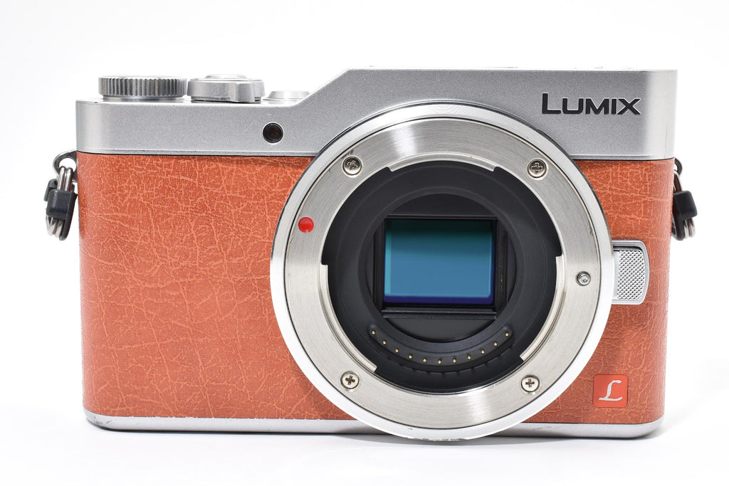 ★極上品★ パナソニック Panasonic LUMIX GF9 ボディ DC-GF9 ショット数794回 デジタル ★ #8717
