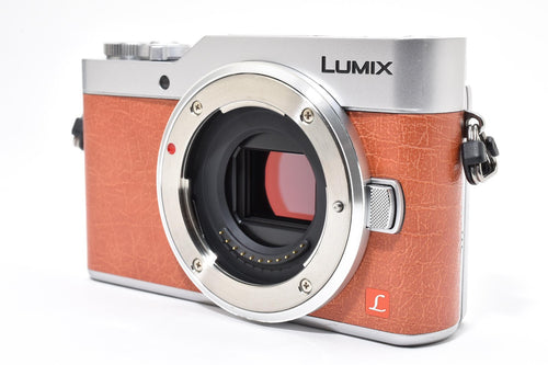 ★極上品★ パナソニック Panasonic LUMIX GF9 ボディ DC-GF9 ショット数794回 デジタル ★ #8717