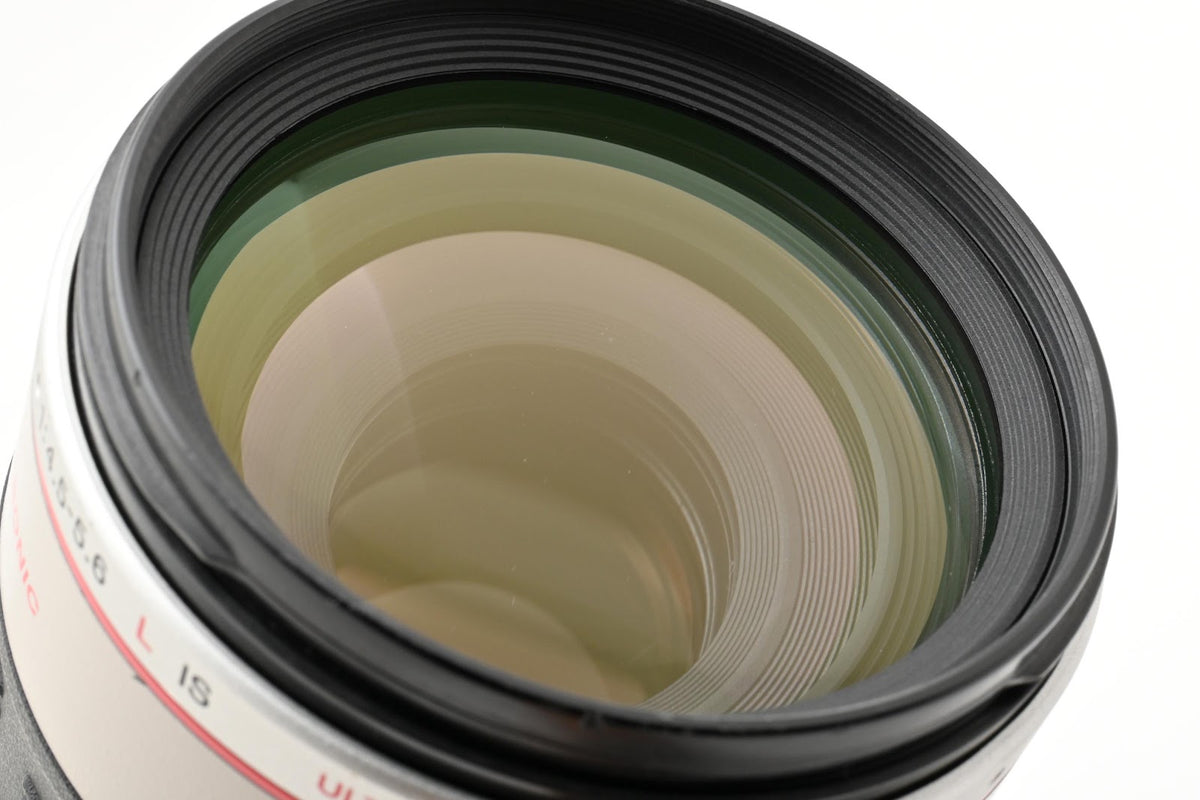 ★美品★ キヤノン CANON EF100-400mm F4.5-5.6L IS USM 望遠ズームレンズ ★ #9392