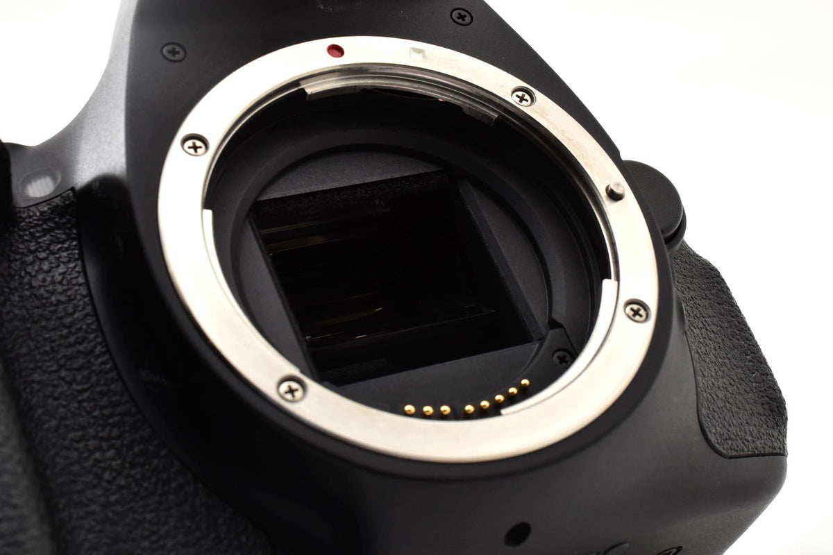 ★美品ショット数22191回★ キヤノン CANON EOS Kiss X5  ボディ 元箱付 付属品充実 デジタル一眼レフ ★ #9313