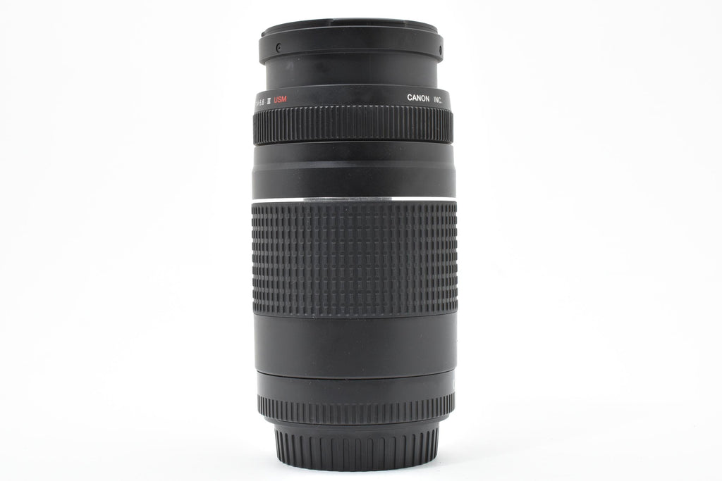 ★美品★ キヤノン Canon EF 75-300M F4-5.6 III USM 望遠ズームレンズ ★ L20#8169