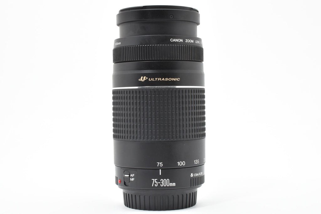 ★美品★ キヤノン Canon EF 75-300M F4-5.6 III USM 望遠ズームレンズ ★ L20#8169
