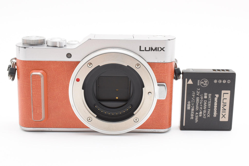 ★美品ショット数4329回★ パナソニック Panasonic LUMIX GF10 ボディ DC-GF10 デジタルカメラ ★ #8286