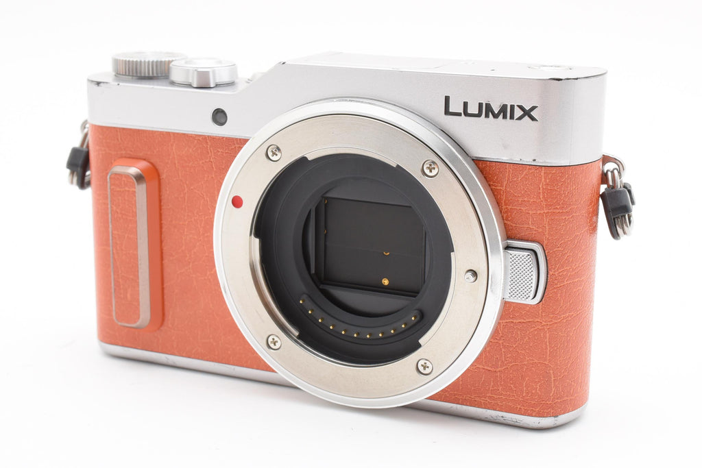 ★美品ショット数4329回★ パナソニック Panasonic LUMIX GF10 ボディ DC-GF10 デジタルカメラ ★ #8286