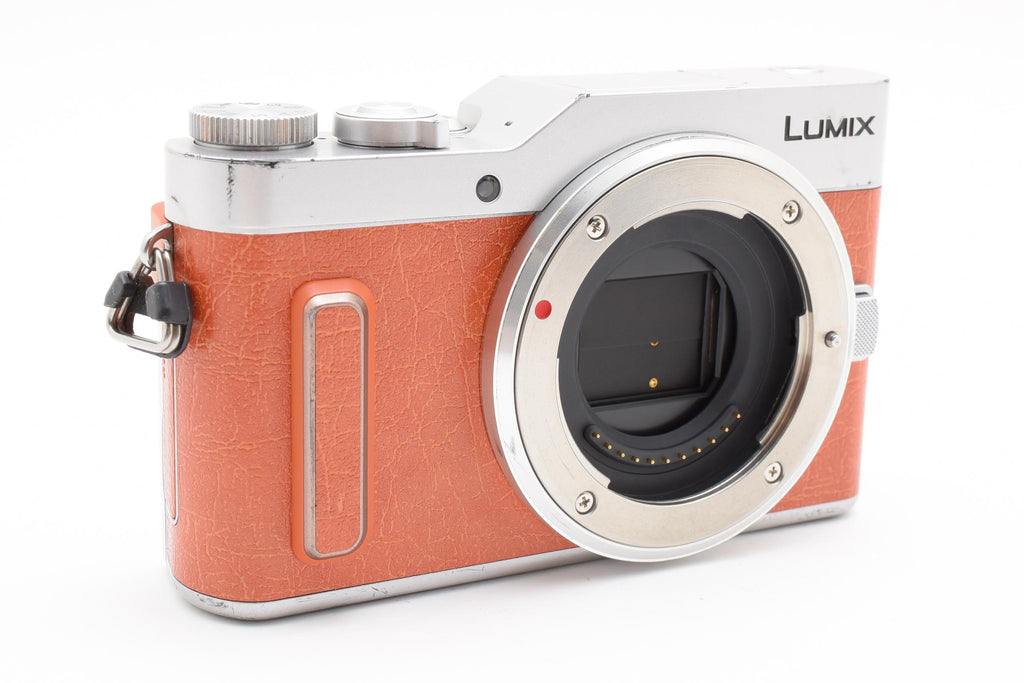 ★美品ショット数4329回★ パナソニック Panasonic LUMIX GF10 ボディ DC-GF10 デジタルカメラ ★ #8286