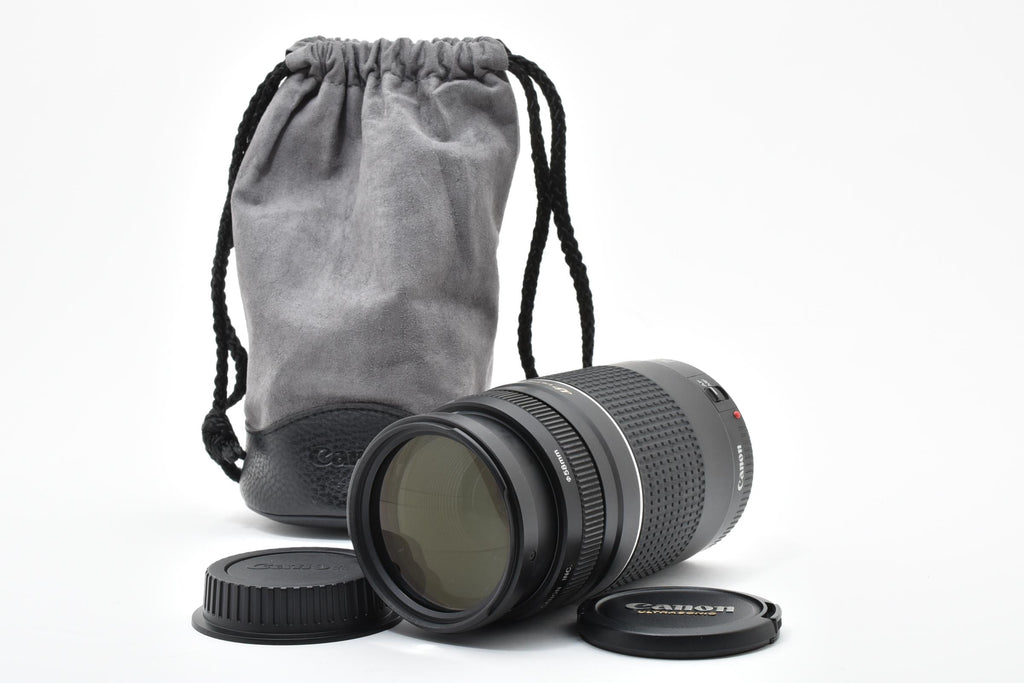 ★美品★ キヤノン Canon EF 75-300M F4-5.6 III USM 望遠ズームレンズ ★ L20#8169