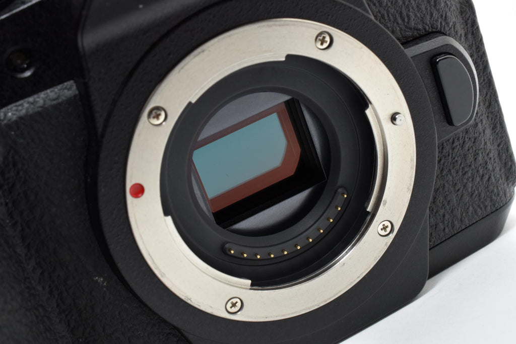 ★良品ショット数14113回★ パナソニック Panasonic LUMIX DC-G99 ボディ ミラーレス一眼 デジタルカメラ ★ #8297