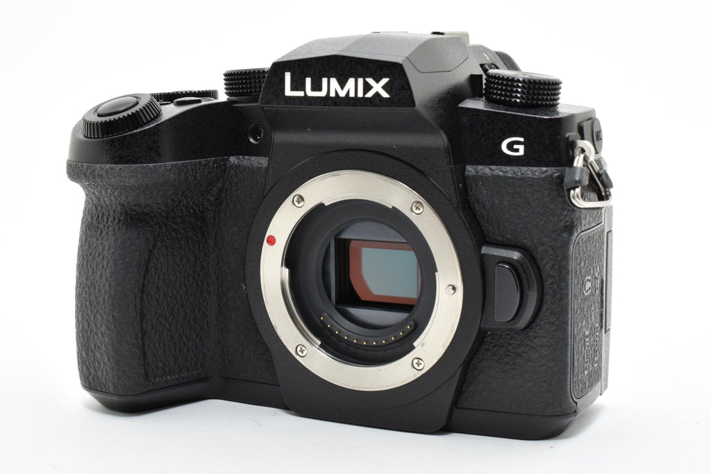 ★良品ショット数14113回★ パナソニック Panasonic LUMIX DC-G99 ボディ ミラーレス一眼 デジタルカメラ ★ #8297