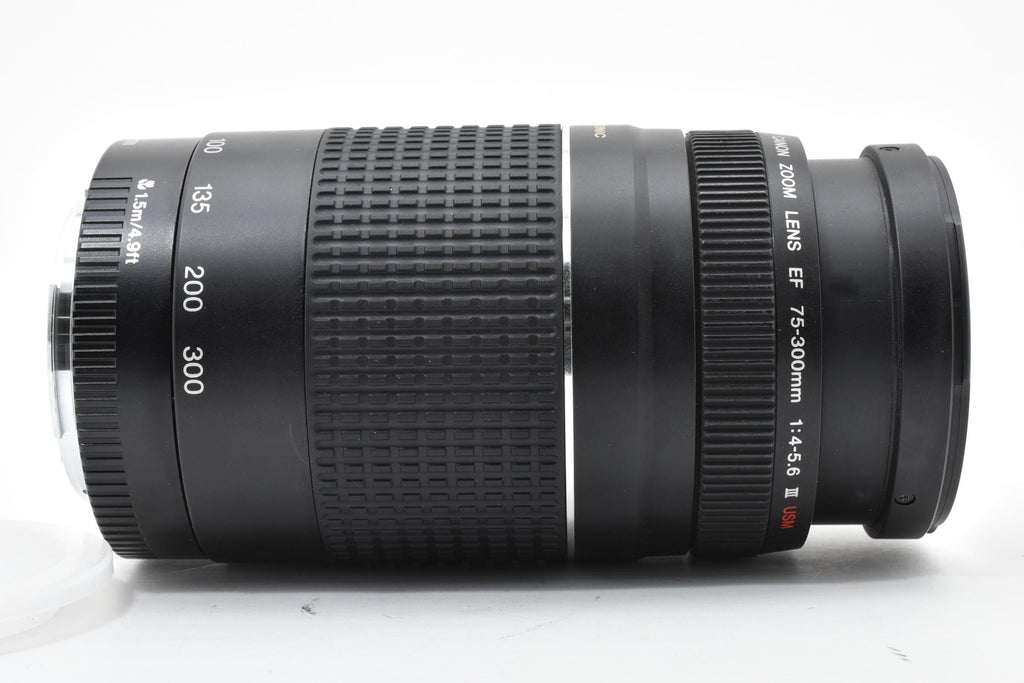 ★美品★ キヤノン Canon EF 75-300M F4-5.6 III USM 望遠ズームレンズ ★ L20#8169